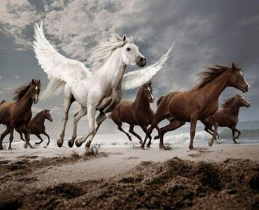amazing photoshop pics
