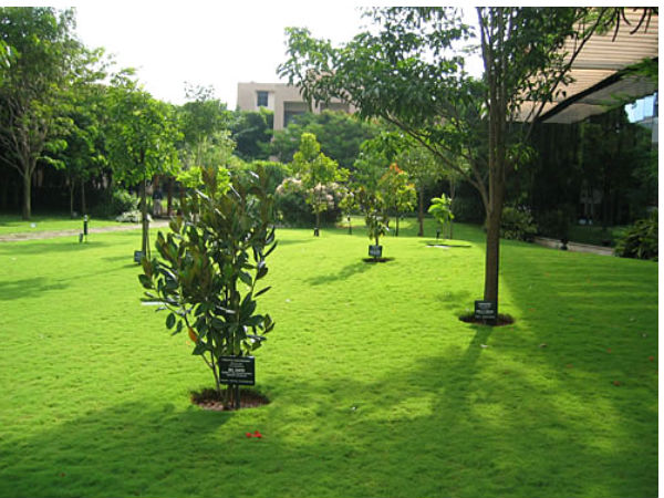 ಬೆಂಗಳೂರಿನ ಇನ್ಫೋಸಿಸ್ ಕ್ಯಾಂಪಸ್ನಲ್ಲಿ ಸುತ್ತಾಡಿ