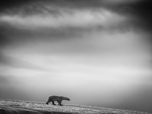 Wilfred Berthelsen, Norway