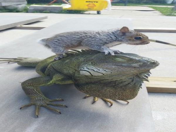 ಮನವನ್ನು ಕದಿಯುವ ಆಶ್ಚರ್ಯಕರ ಅಂಶಗಳು