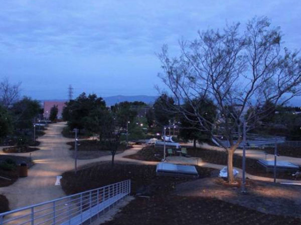 ರೂಫ್ ಗಾರ್ಡನ್