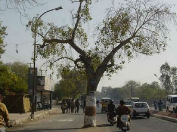 ಇಂಜಿನಿಯರ್ ಬುದ್ಧಿವಂತಿಕೆ