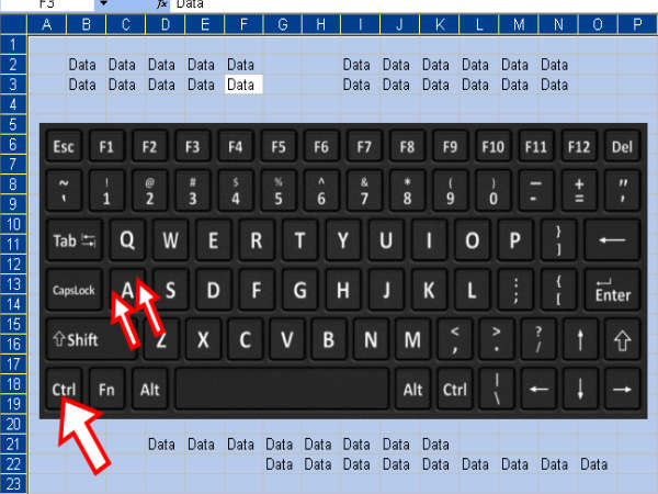 Ctrl+ A