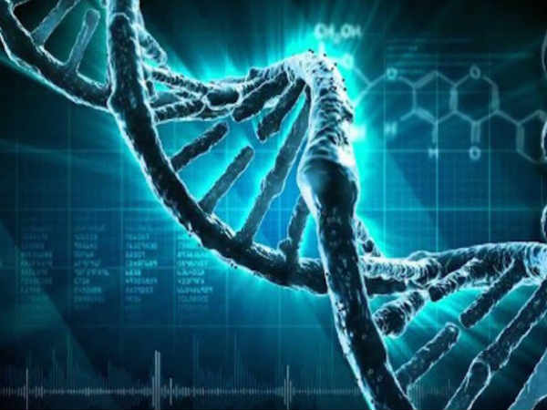 DNA