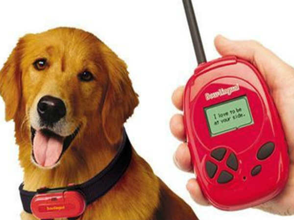 DOG TRANSLATOR