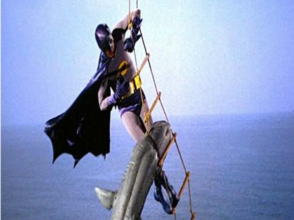 SHARK REPELLENT