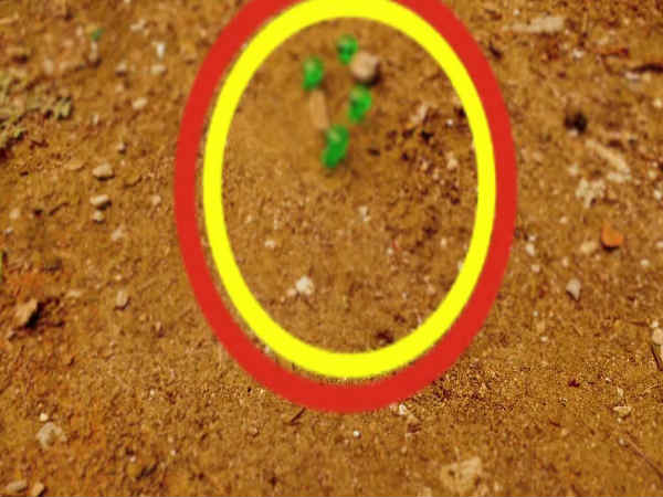 ಏಲಿಯನ್ ಪತ್ತೆ ಹೇಗೆ ?