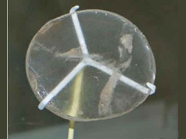 ವಿಶ್ವದ ಅತ್ಯಂತ ಹಳೆಯ ದೂರದರ್ಶಕ