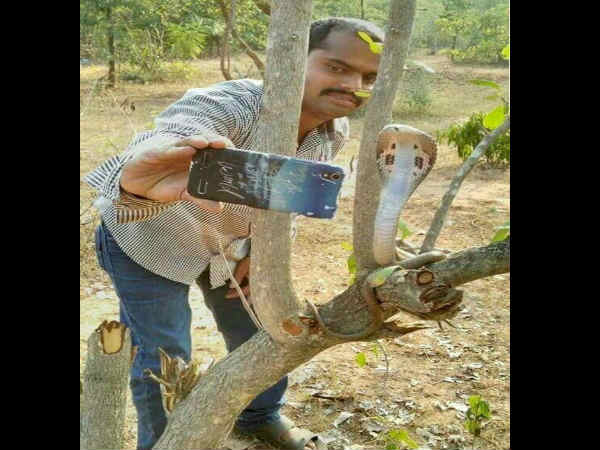 ಹಾವಿನೊಂದಿಗೆ ಸೆಣಸಾಟ