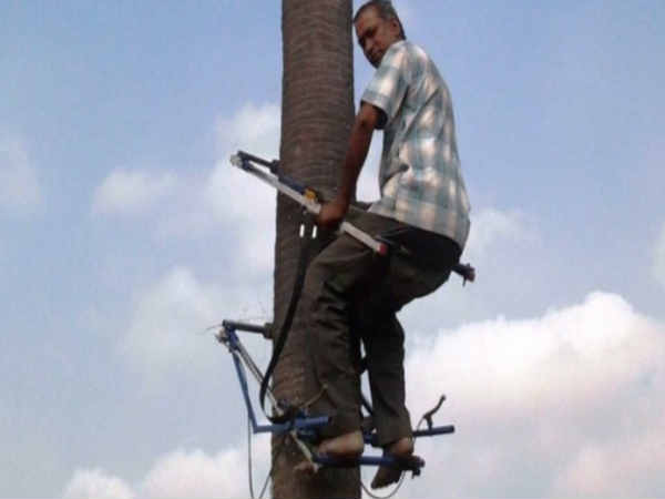 ಮೆಕ್ಯಾನಿಕಲ್ ಟ್ರಿ ಕ್ಲೈಂಬರ್