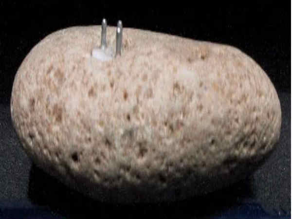 ಇಲೆಕ್ಟ್ರಿಕ್ ಭಾಗವನ್ನು ಅಂಟಿಸಿರುವುದಲ್ಲ