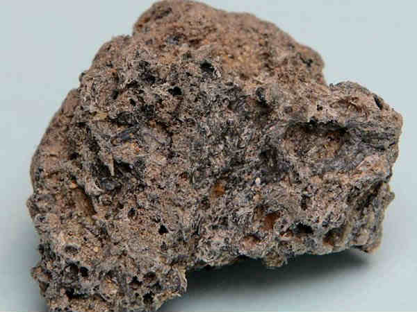 ಶ್ರೀಲಂಕಾ ಮೆಟೊರೈಟ್ ಫಾಸಿಲ್ಸ್