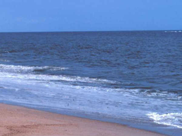 ಸಂಶೋಧಕರು ಹೇಳಿದ್ದೇನು?