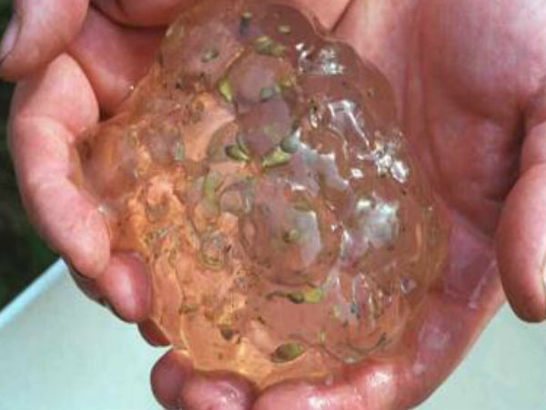 ಮಳೆಯ ಹನಿಗಳು