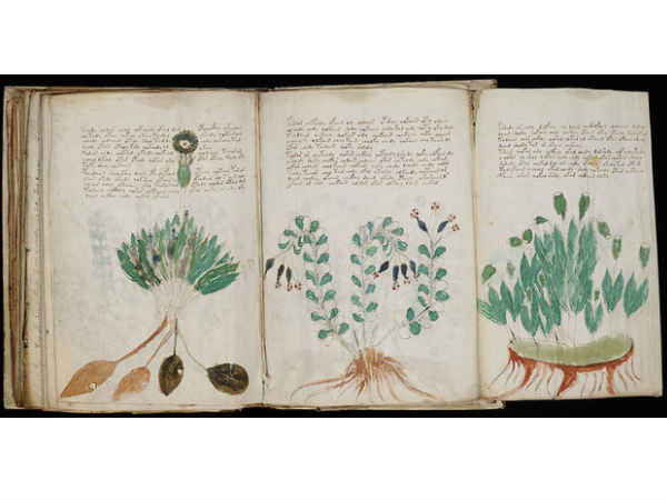 The Voynich Manuscript (ವಾಯ್ನಿಕ್ ಹಸ್ತಪ್ರತಿ)