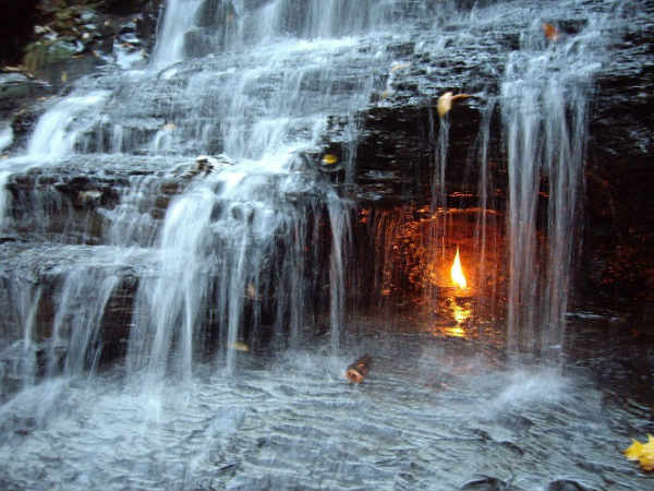 ಆರ್ಕರ್ಡ್ ಪಾರ್ಕ್, ನ್ಯೂಯಾರ್ಕ್