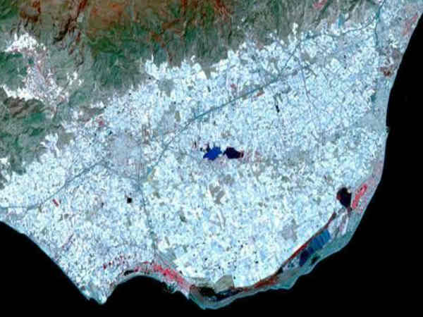 ಅಲ್ಮೇರಿಯಾದ ಗ್ರೀನ್ ಹೌಸ್