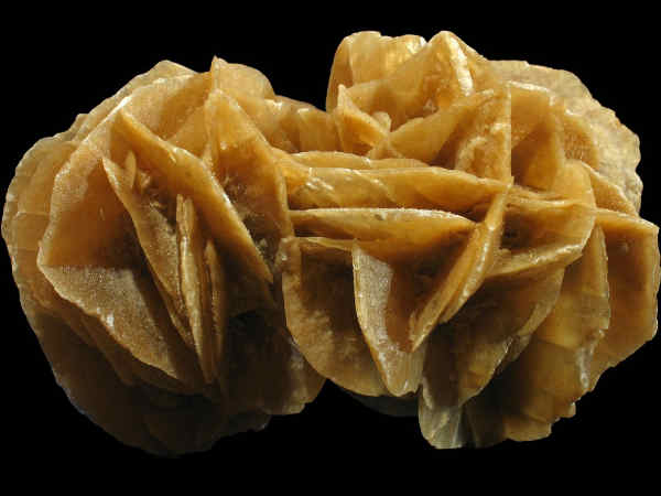 ಡೆಸರ್ಟ್ ರೋಸಸ್