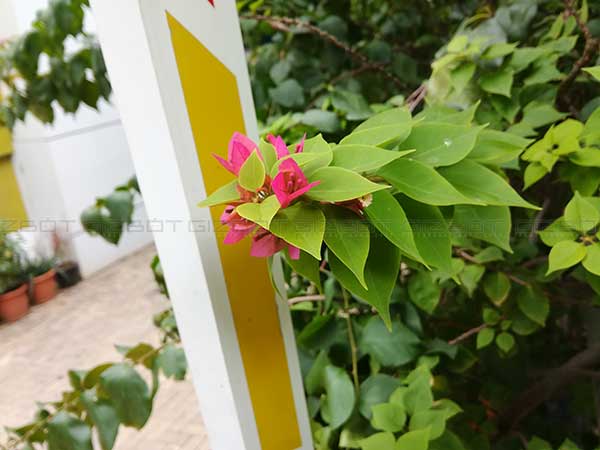 ಕ್ಷಿಪ್ರ
