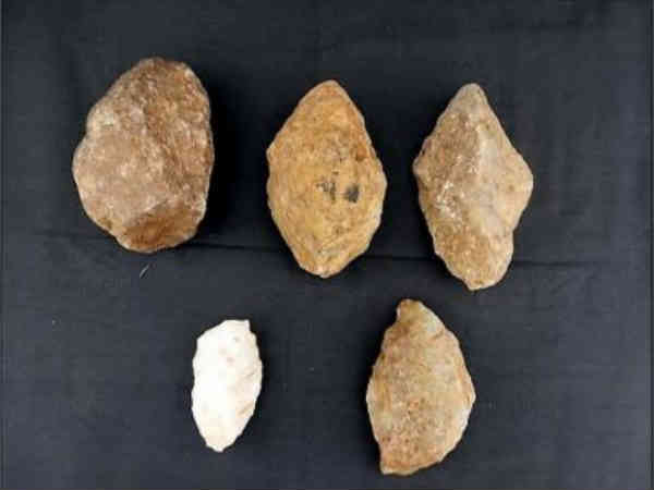 ಗಿಜ್ಬಾಟ್