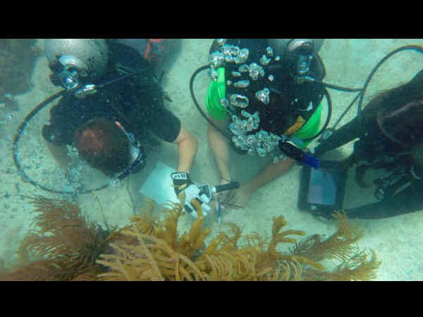 ಗಗನಯಾತ್ರಿಗಳಿಗೆ ನೀರಿನ ತಳಭಾಗದಲ್ಲಿ ತರಬೇತಿ ನೀಡುತ್ತಿರುವ ನಾಸಾ