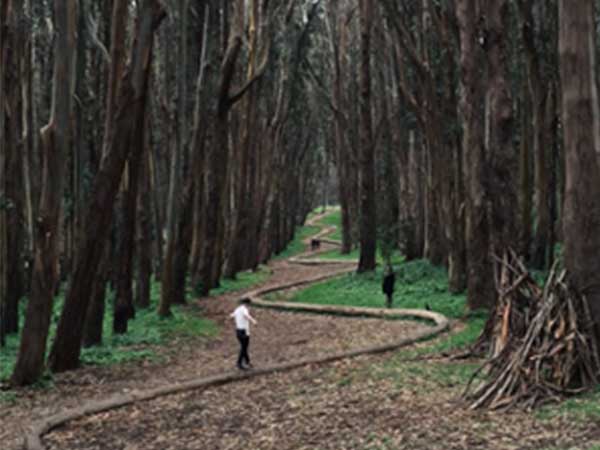 ಲೀಡಿಂಗ್ ಲೈನ್ಸ್ ಬಳಸಿ
