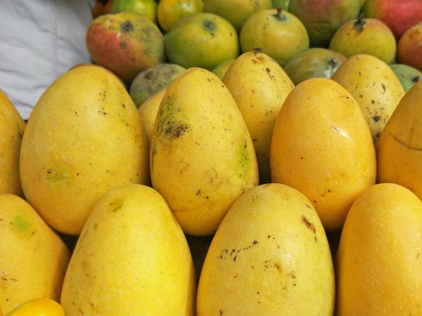 ಅನೇಕ ಫಿಲ್ಟರ್ಗಳು:
