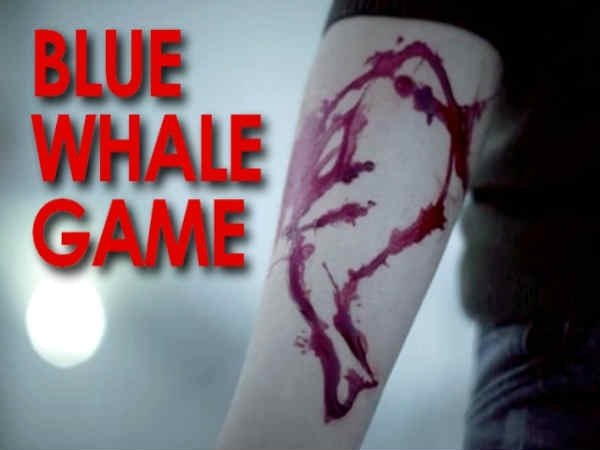 ಏನದು ಬ್ಲೂ ವೇಲ್ ಗೇಮ್?.ನಾನು ಆಡಿ ನೋಡುತ್ತೇನೆ ಎಂದವ ಈಗ ಬೇರೆ ಸಂಕಷ್ಟದಲ್ಲಿ!!