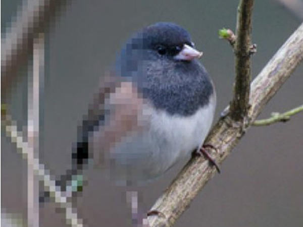 ಇನ್ಮುಂದೆ ಕಡಿಮೆ ರೆಸಲ್ಯೂಷನ್ ಚಿತ್ರವನ್ನು ಹೆಚ್‌ಡಿ ಚಿತ್ರವಾಗಿ ಪರಿವರ್ತಿಸಬಹುದು!