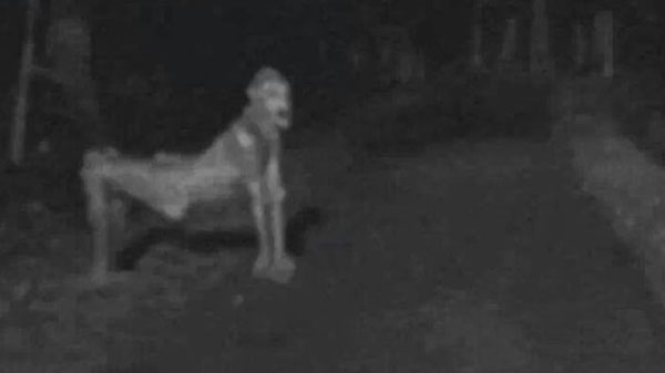 ಏನೀದು..?