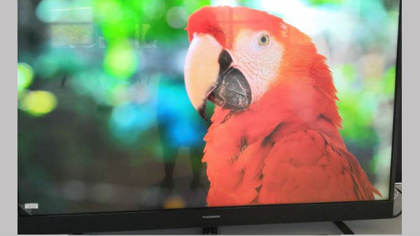 ಥಾಮ್ಸನ್‌ ಸಂಸ್ಥೆಯ ಹೊಸ ಆಂಡ್ರಾಯ್ಡ್‌ ಸ್ಮಾರ್ಟ್‌ಟಿವಿ ಸರಣಿ ಬಿಡುಗಡೆ!