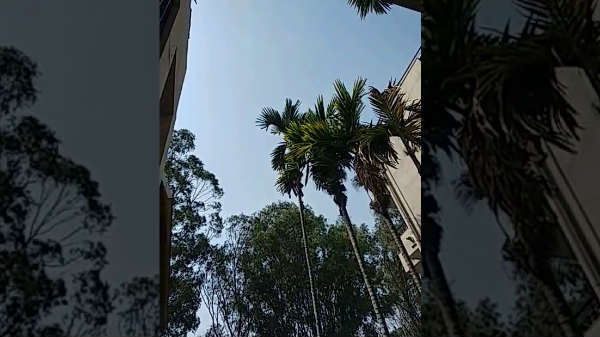 ರಿಕ್ಟರ್ ಮಾಪಕ