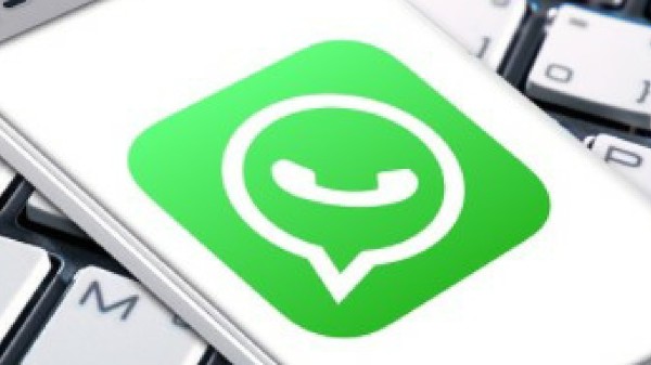 Whatsapp business