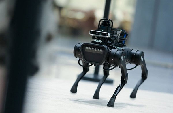 ಒಪ್ಪೊ INNODAY20: ಹೊಸ ತಂತ್ರಜ್ಞಾನದ ಡಿವೈಸ್‌ಗಳ ಅನಾವರಣ!