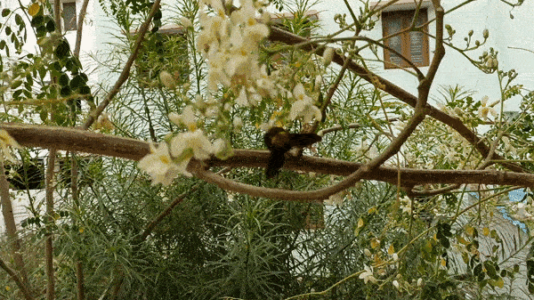 ಒಪ್ಪೋ ರೆನೋ7 5G : ಬೆಲೆ ಮತ್ತು ಫೀಚರ್ಸ್‌ಗಳನ್ನು ಸಂಯೋಜಿಸುವ ಸ್ಮಾರ್ಟ್‌ಫೋನ್!