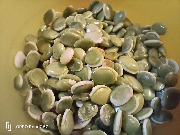 ಒಪ್ಪೋ ರೆನೋ7 5G : ಬೆಲೆ ಮತ್ತು ಫೀಚರ್ಸ್‌ಗಳನ್ನು ಸಂಯೋಜಿಸುವ ಸ್ಮಾರ್ಟ್‌ಫೋನ್!