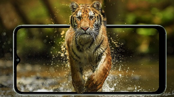 ಸೈಲೆಂಟ್‌ ಆಗಿ ಎಂಟ್ರಿ ಕೊಟ್ಟ ಲಾವಾ ಯುವ 2 ಪ್ರೊ! ವಿದ್ಯಾರ್ಥಿಗಳಿಗೆ ಭರ್ಜರಿ ಆಫರ್