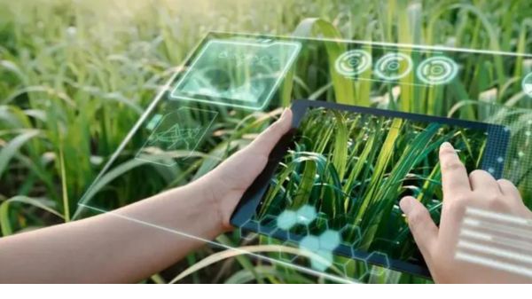 Kissan GPT: ರೈತರು ಇನ್ಮುಂದೆ ಇನ್ನಷ್ಟು ಇಳುವರಿ ಪಡೆಯಬಹುದು! ಇದರ ಬಳಕೆ ಹೇಗೆ?  