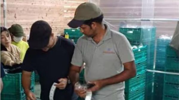 ಇನ್ಫೋಸಿಸ್ ಕೆಲಸ ಬಿಟ್ಟು ರೈತನಾದ ಟೆಕ್ಕಿ: ಕೃಷಿಯಲ್ಲಿ ದುಪ್ಪಟ್ಟು ಹಣ ಗಳಿಕೆ !  