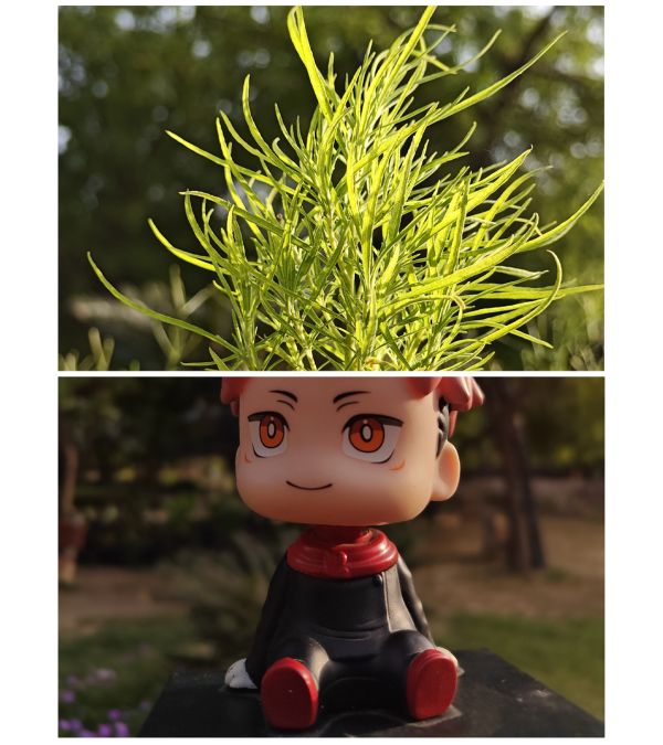 OnePlus 11 5G ಫೋನ್ ಕ್ಯಾಮೆರಾ ಕಾರ್ಯಕ್ಷಮತೆ ಪರೀಕ್ಷೆ! ಕಾರ್ಯಕ್ಷಮತೆಯ ವಿವರಗಳು