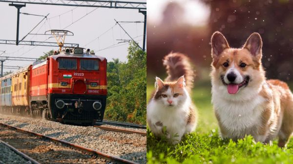 IRCTC ಯಲ್ಲಿ ಶೀಘ್ರದಲ್ಲೇ ಸಾಕು ಪ್ರಾಣಿಗಳಿಗೂ ಟಿಕೆಟ್‌ ಬುಕಿಂಗ್‌ ಮಾಡಬಹುದು!  