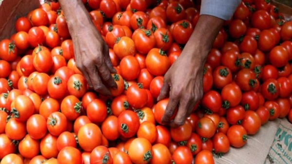 Paytm, ONDC ಮೂಲಕ ಅರ್ಧ ಬೆಲೆಗೆ ಟೊಮೆಟೊ: ಆನ್‌ಲೈನ್‌ನಲ್ಲಿ ಆರ್ಡರ್ ಆಯ್ಕೆ, ಆದರೆ