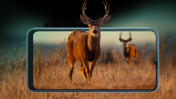 ಸೈಲೆಂಟ್‌ ಆಗಿ ಭಾರತಕ್ಕೆ ಎಂಟ್ರಿ ನೀಡಿದ ಲಾವಾ ಬ್ಲೇಜ್ 2 ಪ್ರೊ!.ಇದರ ಬೆಲೆ ಎಷ್ಟು?