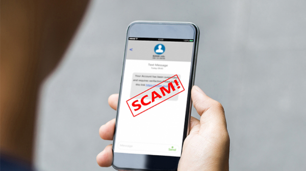 ಈ ವರ್ಷ ಸ್ಕ್ಯಾಮರ್‌ಗಳು ಜನರನ್ನು ಹೇಗೆಲ್ಲಾ ವಂಚನೆ ಮಾಡಿದ್ದಾರೆ ಗೊತ್ತಾ? 