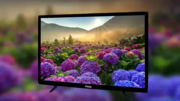 ಈ ಬಹುಬೇಡಿಕೆಯ ಸ್ಮಾರ್ಟ್‌ಟಿವಿಗೆ 66% ರಿಯಾಯಿತಿ! ಫೀಚರ್ಸ್‌ ಬಗ್ಗೆ ತಿಳಿಯಿರಿ