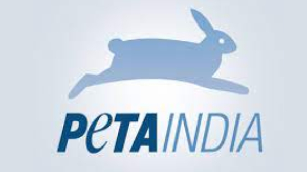 Rat killing trap: ಇಲಿ ಕೊಲ್ಲುವ ಟ್ರ್ಯಾಪ್ ಮಾರಾಟದ ಮೇಲೆ ನಿರ್ಬಂಧ! 