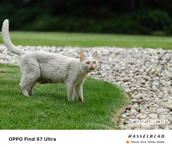 ಒಪ್ಪೋ ಫೈಂಡ್ X7 ಅಲ್ಟ್ರಾ ಕ್ಯಾಮೆರಾ: ಮೊಬೈಲ್‌ ಫೋಟೋಗ್ರಫಿಗೆ ಅತ್ಯುತ್ತಮ ಫೋನ್‌!